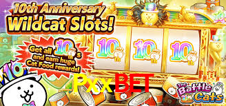 Pxxbet Com